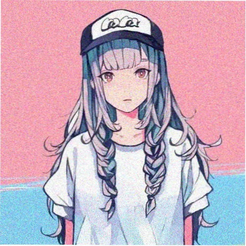 观众白鸟的头像